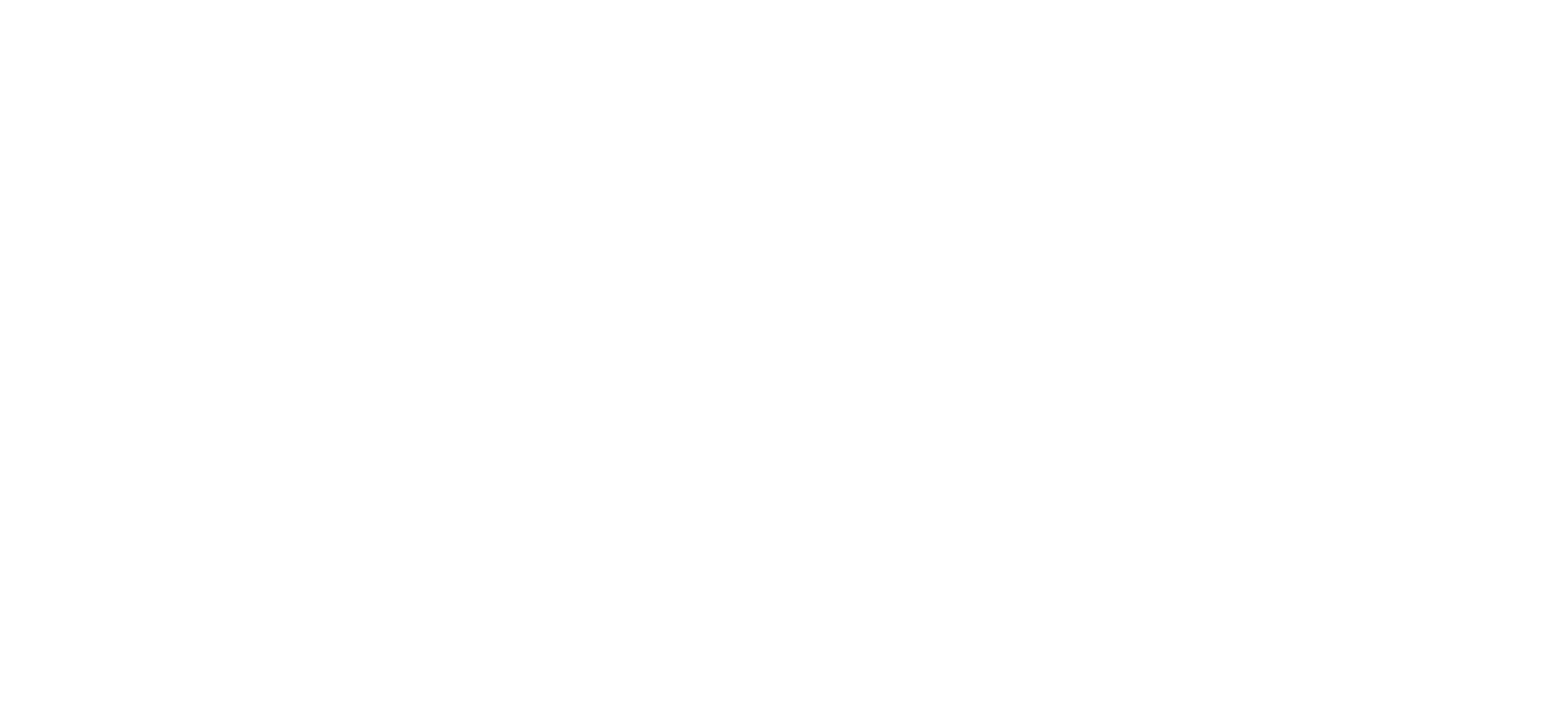 eAI Logo